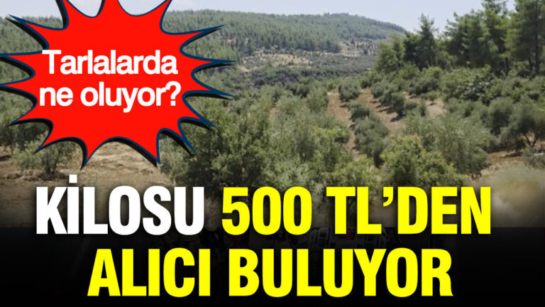 haber-gorseli-1787058096761
